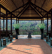 Indonesia (11